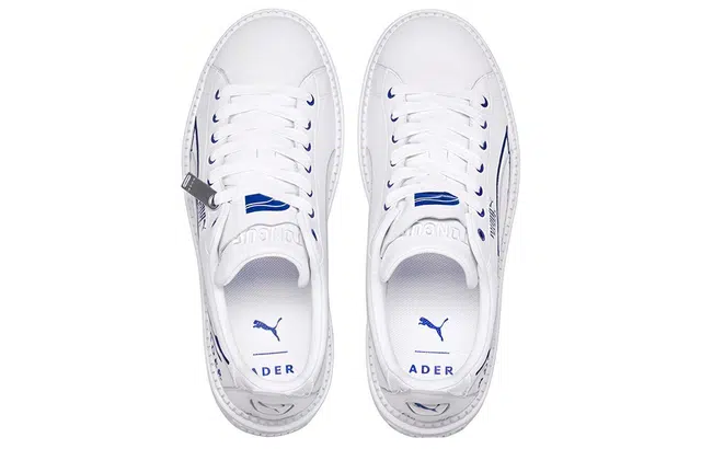 ADER ERROR x PUMA Platform Trace