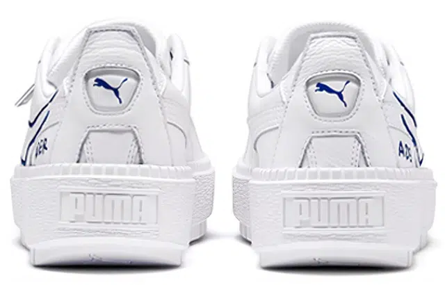 ADER ERROR x PUMA Platform Trace