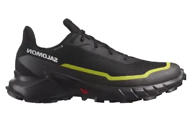 SALOMON ALPHACROSS 5 GTX