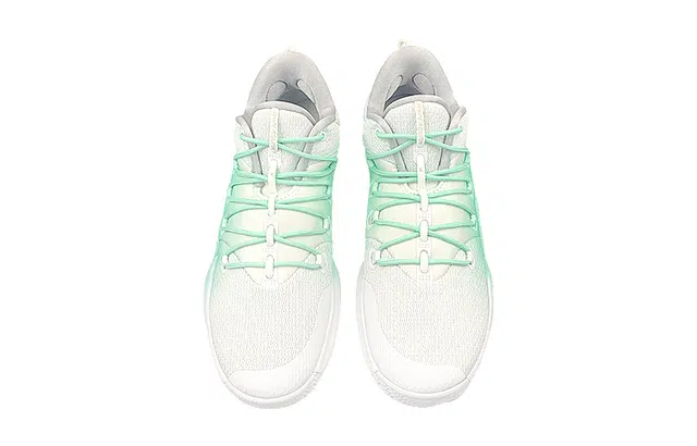 Nike Hyperdunk 10