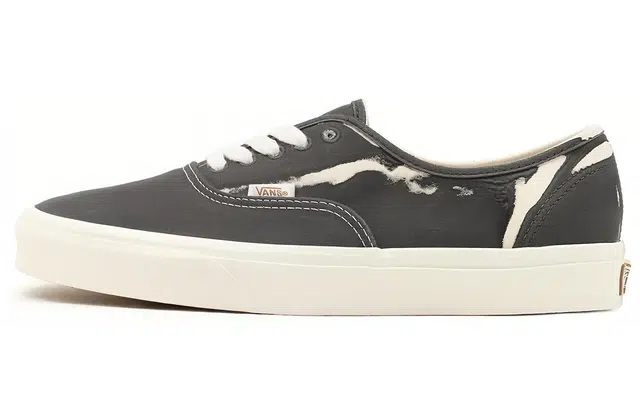 Vans Authentic Eco Theory