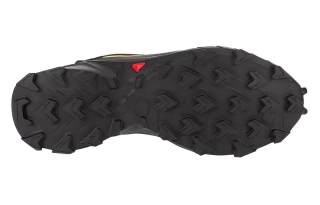 SALOMON ALPHACROSS 5 GTX