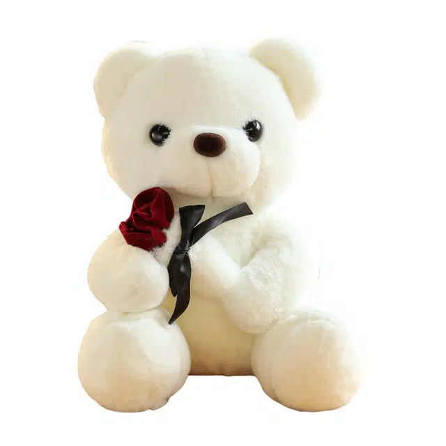 abay 30cm