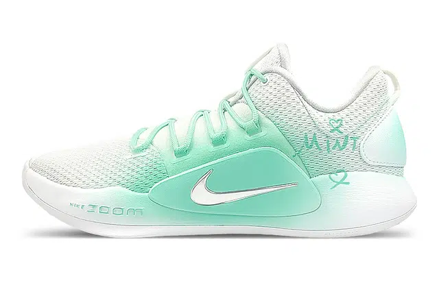Nike Hyperdunk 10