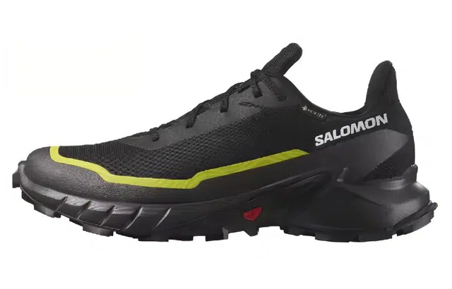 SALOMON ALPHACROSS 5 GTX