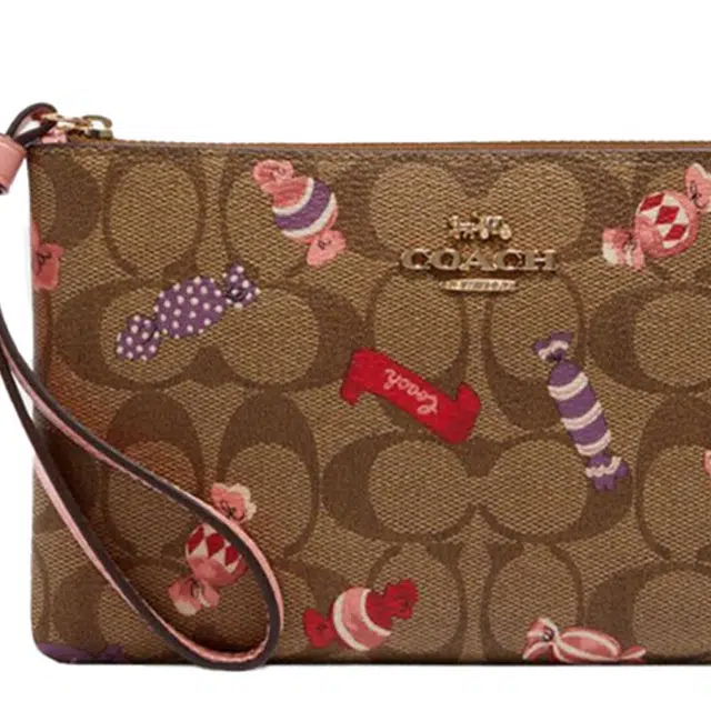 COACH Corner Zip 20 PVC