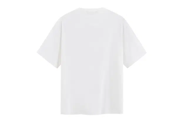 ICONS Lab T
