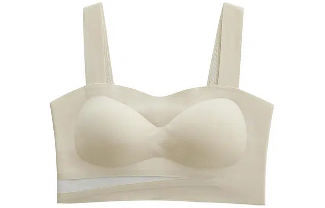 二三二三 撞色无痕小胸聚拢大胸显小调整型文胸 女款