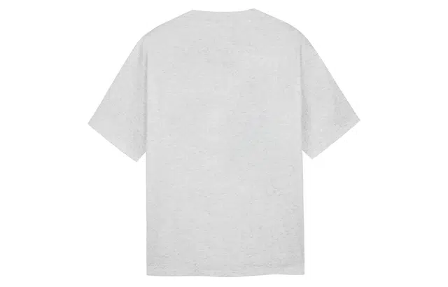 ICONS Lab T