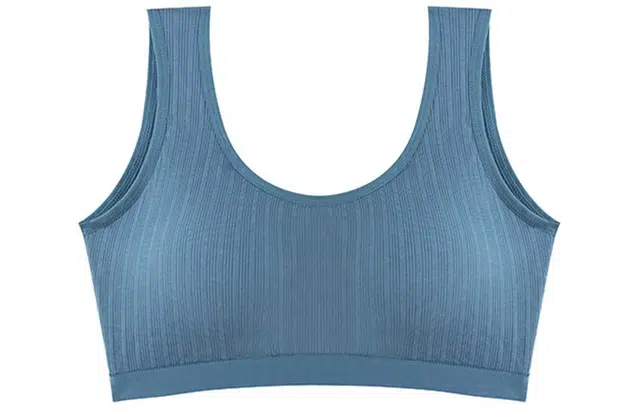 二三二三 纯色简约舒适聚拢文胸 女款 蓝色