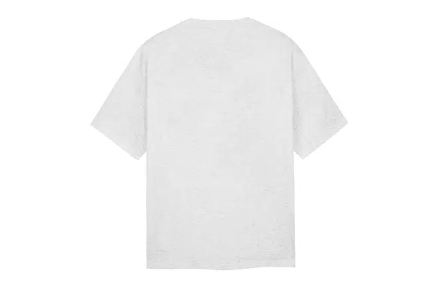 ICONS Lab T