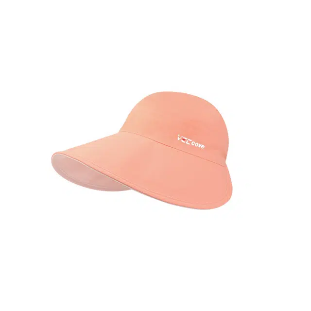 VEC