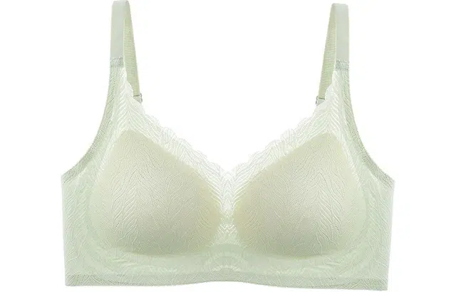 二三二三 小胸聚拢无钢圈提拉上托收副乳防下垂文胸 女款