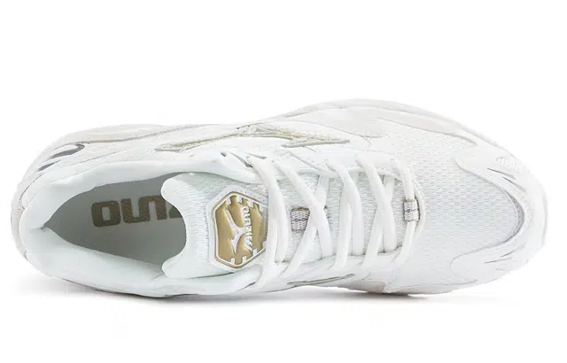 Mizuno Wave Rider 10