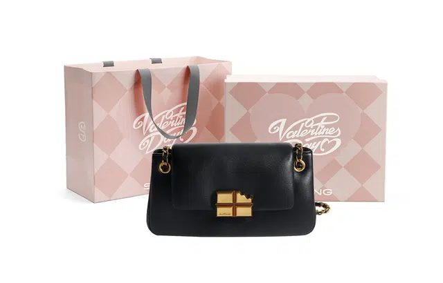 西木汀 南巷清风时尚百搭小众 牛皮 单肩包链条包斜挎包 小号 女款 咖啡色/夜幕黑/米白色