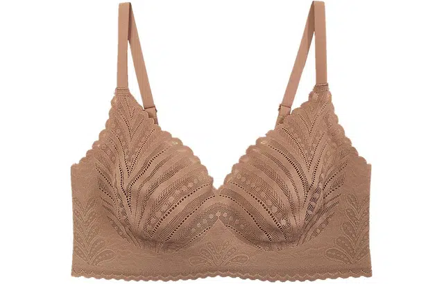 二三二三 纯色透气蕾丝无钢圈大胸显小收副乳防下垂文胸 女款 卡其