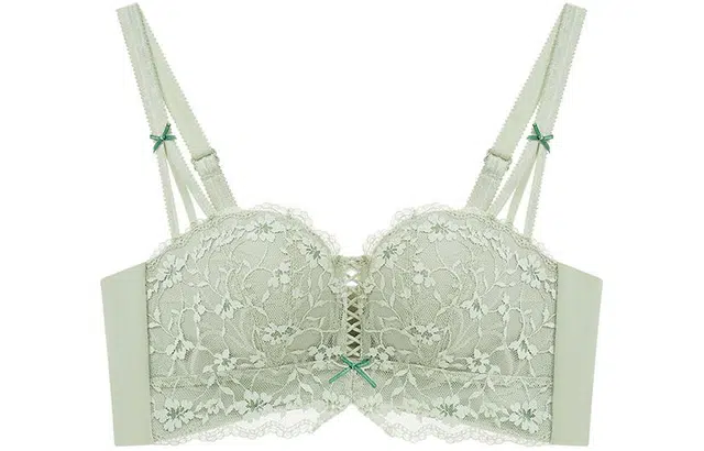 二三二三 蕾丝聚拢小胸上托防下垂无钢圈文胸 女款