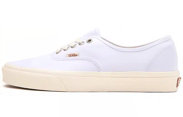 Vans Authentic Eco Theory