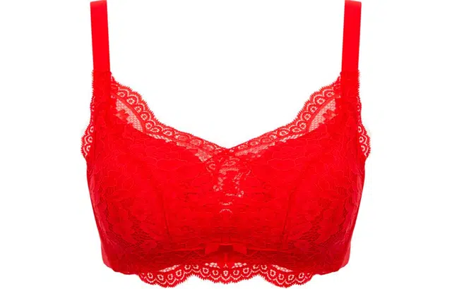 二三二三 聚拢上托调整型无钢圈舒适文胸 女款