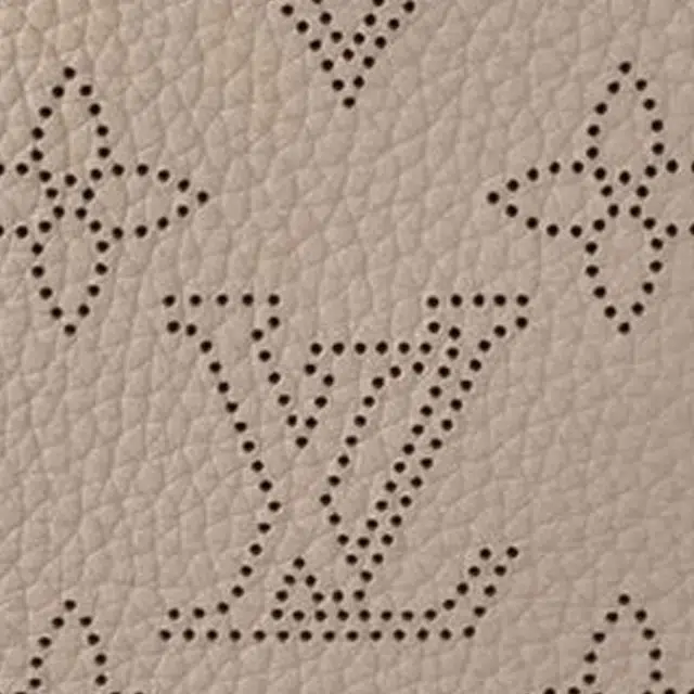 LOUIS VUITTON MONOGRAM