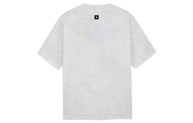 ICONS Lab T