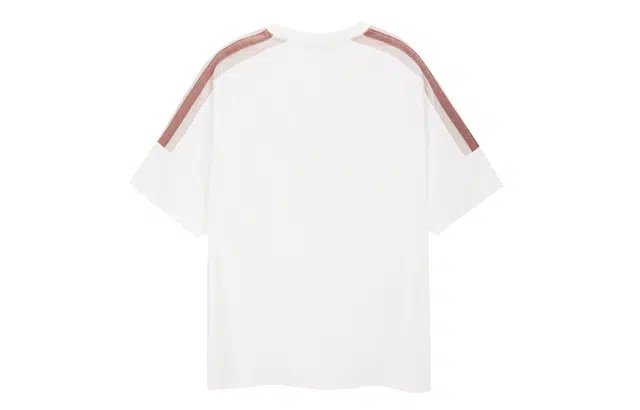 ICONS Lab T