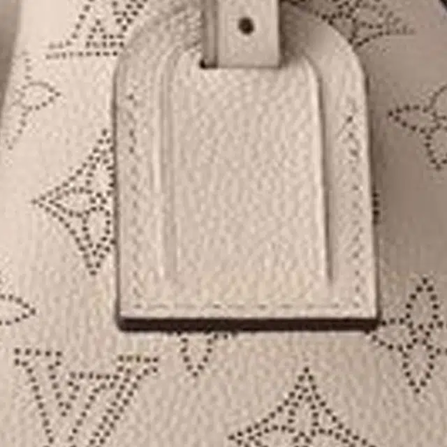 LOUIS VUITTON MONOGRAM