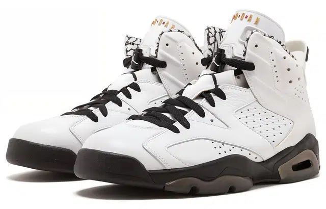 Jordan Air Jordan 6 Retro Motorsport