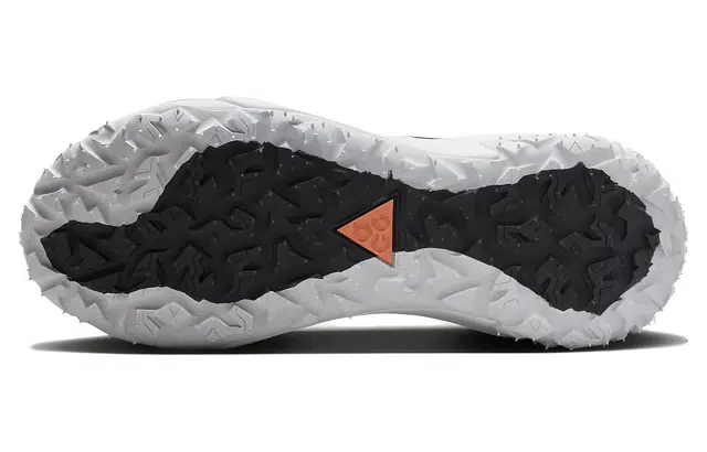 Nike ACG Mountain Fly 2 Low