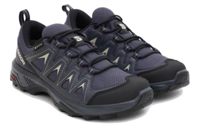 SALOMON X Braze GTX