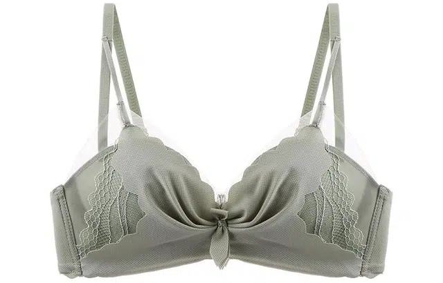 二三二三 大胸显小无钢圈聚拢收副乳防下垂蕾丝文胸 女款