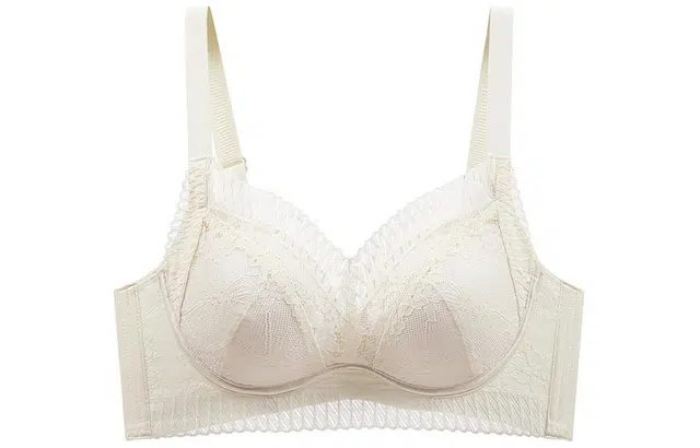 二三二三 调整型小胸聚拢上托收副乳无钢圈桑蚕丝抑菌养护文胸 女款