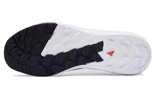 Superstar zebra low-top sneakers