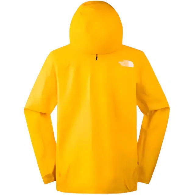 THE NORTH FACE Papsura Logo