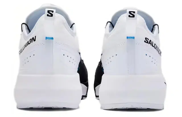 Superstar zebra low-top sneakers