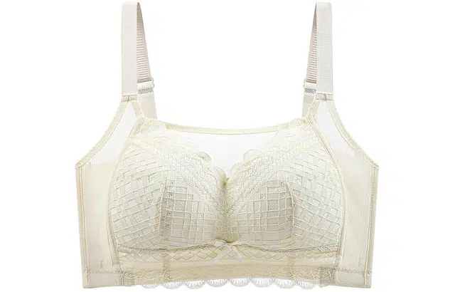 二三二三 蕾丝花边聚拢防走光大胸显小文胸 女款