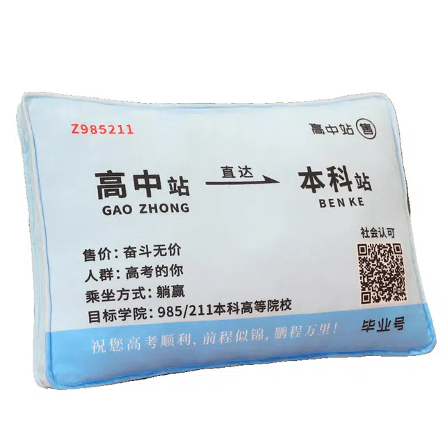 安之静雅 睡觉抱枕励志加油金榜题名 玩偶周边