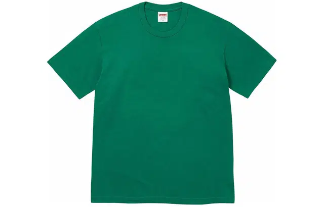 Supreme SS24 T WEEK9 PAI NTTEET