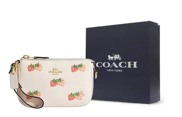 COACH Nolita 15