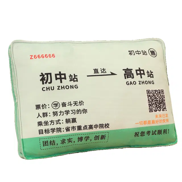 安之静雅 睡觉抱枕励志加油金榜题名 玩偶周边