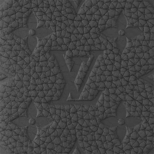LOUIS VUITTON Brazza Taurillon