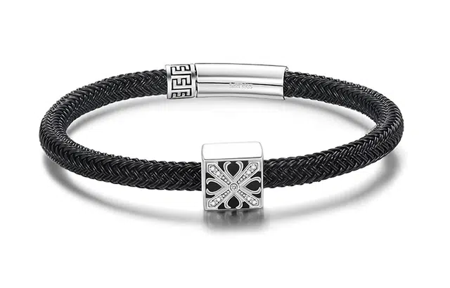 FANCI S925