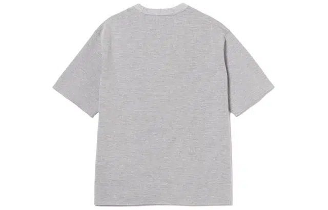 beams T
