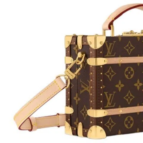 LOUIS VUITTON Handle Trunk