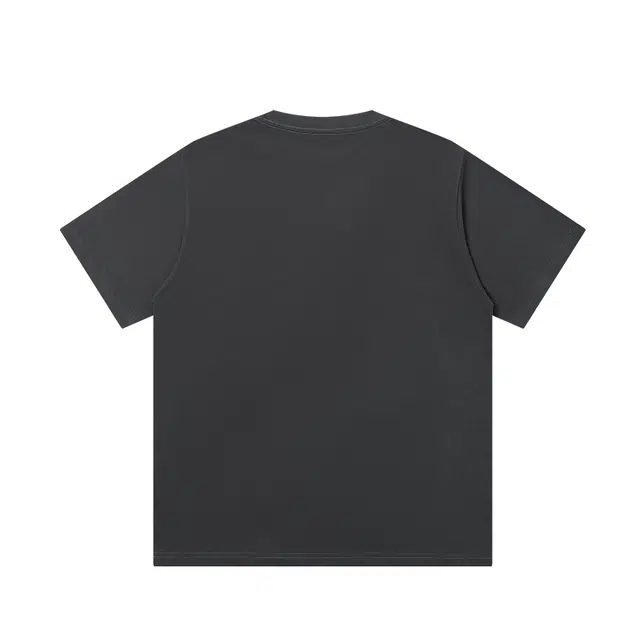 PAINT STAIN T