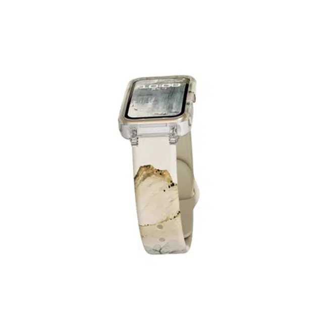 IBOANN 9876Proband