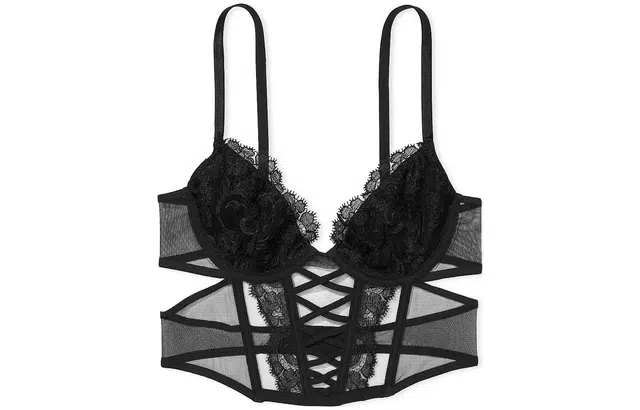 Victoria's Secret PINKDREAMANGELS Boho Floral EmbroideryLow-Cut Demi CorsetTop