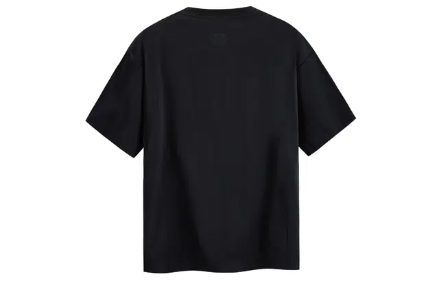 ICONS Lab T