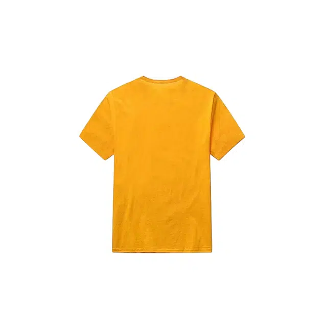 Champion T 2
