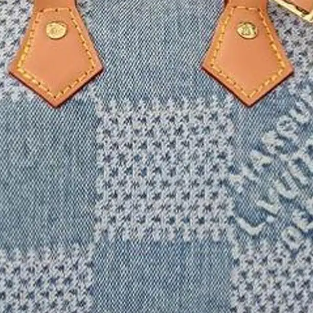 LOUIS VUITTON Nano Speedy Damies Denim 3D